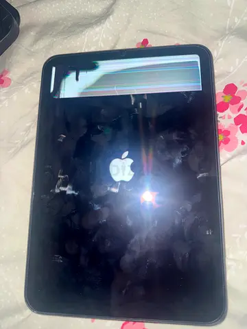 Ipad mini