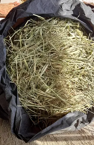Bag of fresh Hay for rabbits/rodents - large quantity