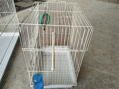 Bird cage