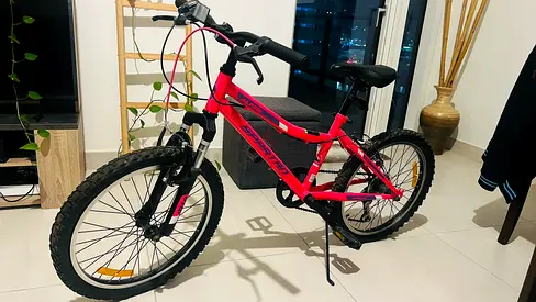 Girl Bicycle 20inc