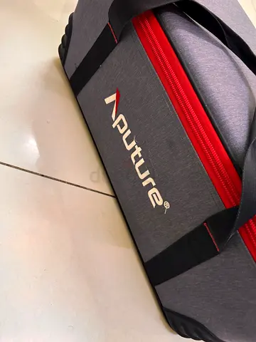 Aputure 300 d II