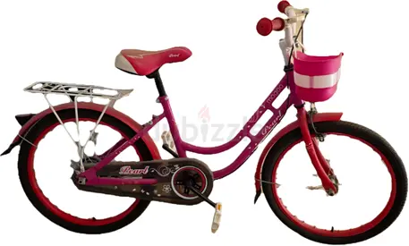 Girls Bicycle for Sale