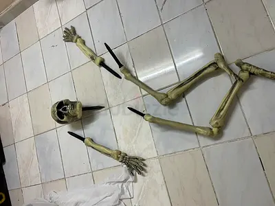 Plastic Halloween Skeleton Prop - Disassembled