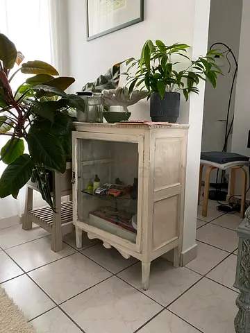 Antique glass cupboard