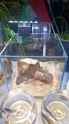 Small tanks setup