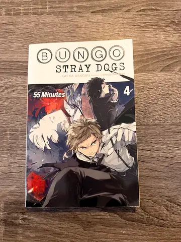 Bungo Stray Dogs, Volume 4 Light Novel