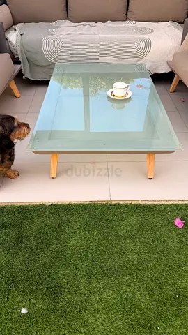 Garden table