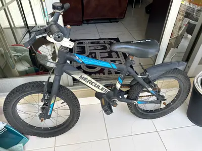 Hercules kids 16-inch mountain bike — good condition