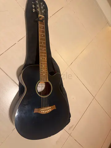 Guitar Carlos