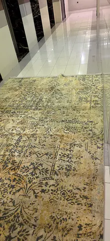 Carpet/Rug