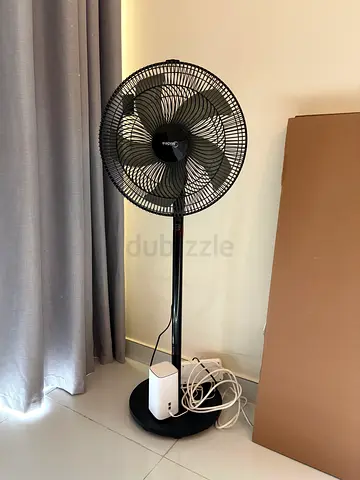 Standing Fan