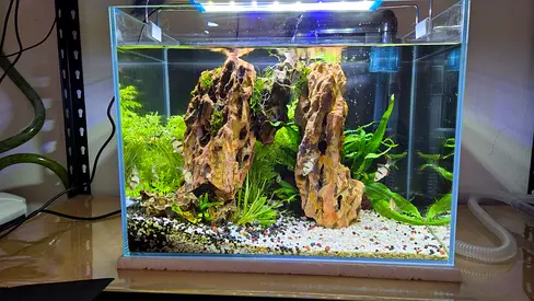Ready to go aquarium