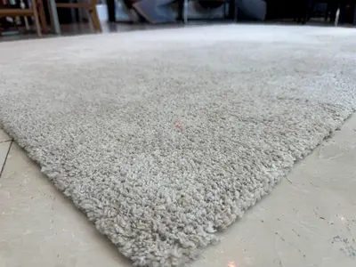 Plush Shaggy Area Rug - Large, Soft Pile, 300x200cm (just cleaned)