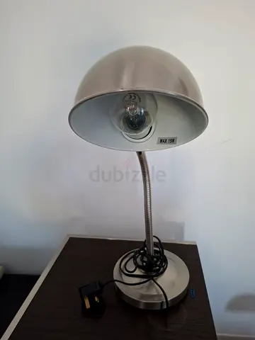 Adjustable Metal Desk Lamp with Flexible Neck - Silver