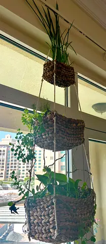 Hanging plant pot