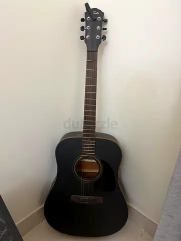 Guitar