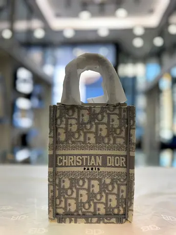 Christian Dior Grey Oblique Canvas Vertical Book Tote Bag (Authentic/New)