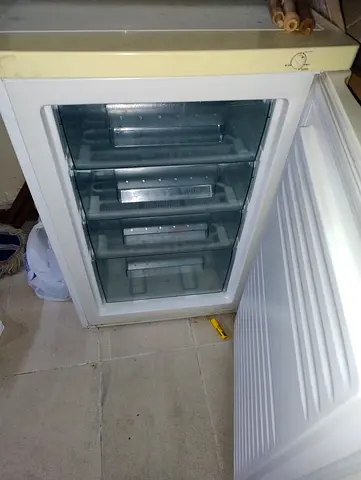 Standing freezer