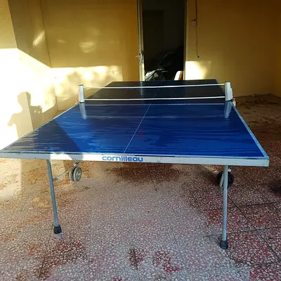 Ping pong table