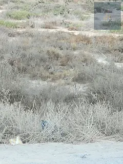 Residential land for sale in Al Manama 4 / Ajman