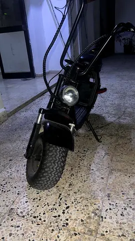 Medium harley good condition