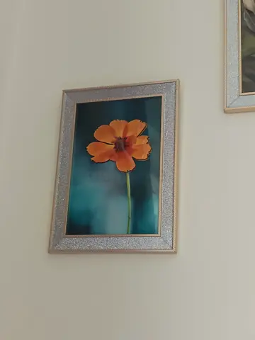 Framed Floral Wall Art - Single Orange Flower (Ready to Hang)