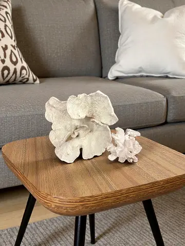 Decorative Coral Ornaments