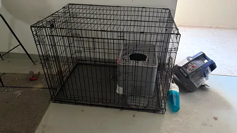 Dog or Cat Cage for sale