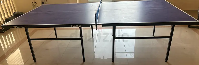 Sky Land Professional Table Tennis Table Single Foldable Table Tennis Table Ping Pong Table, Blue