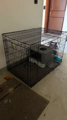 Large Metal Dog Crate with Removable Tray and Divider