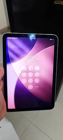 Ipad mini 6 locked