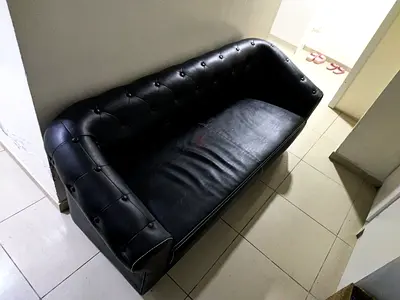 النهضة١ دلي1 زعفرانة
