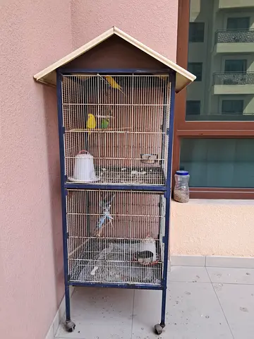 Large metal bird cage