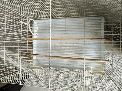 bird cage