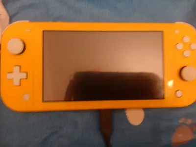 Jailbroken Switch lite (can remove jailbreak)