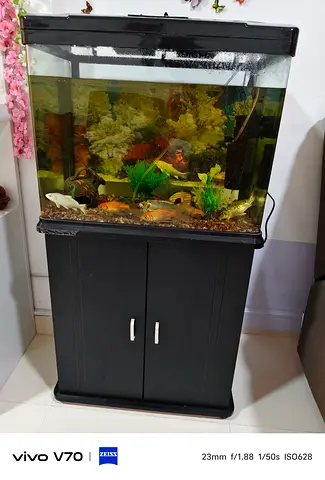 Fish tank with one light