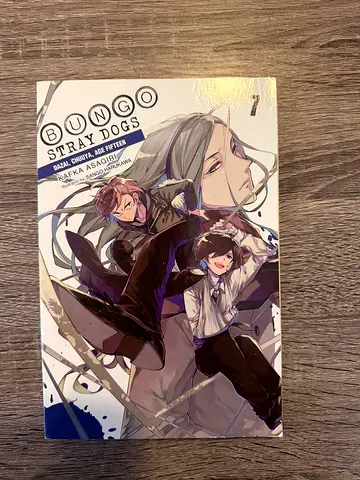 Bungo Stray Dogs, Vol. 7 Light Novel