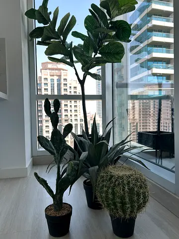 Artificial potted plants collection - fiddle leaf fig, cactus, agave