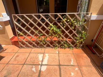 Garden fence trellis