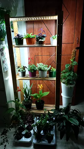 Storage Rack