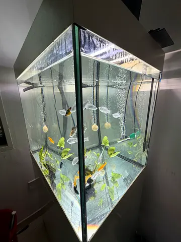 Aquarium Juwel lido 200 for sale