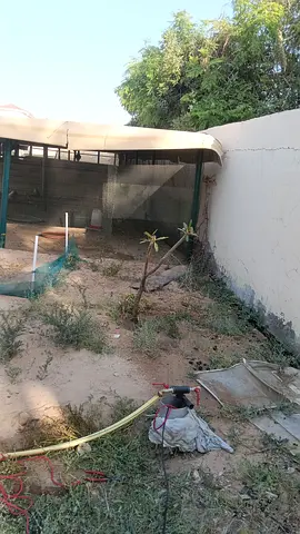 Water well drilling in dubai