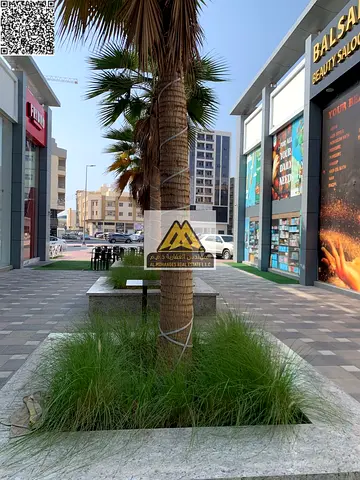 Commercial Shops for Rent – Al Hamidiya – Ajman 🔥