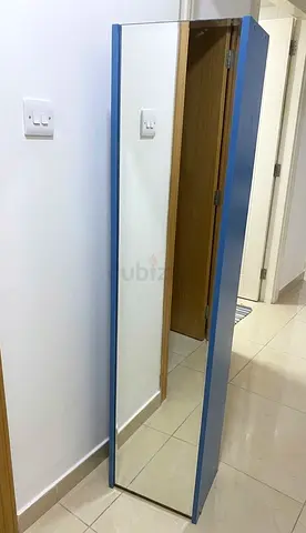 Mirror With Cupboard Built In Back