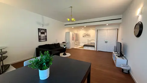 Fully Furnished Home for Executive Single Bachelor Male OR Female