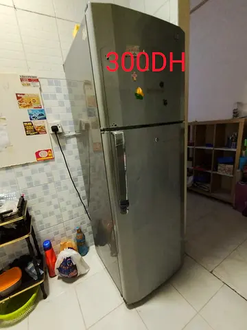 LG Refrigerator double door