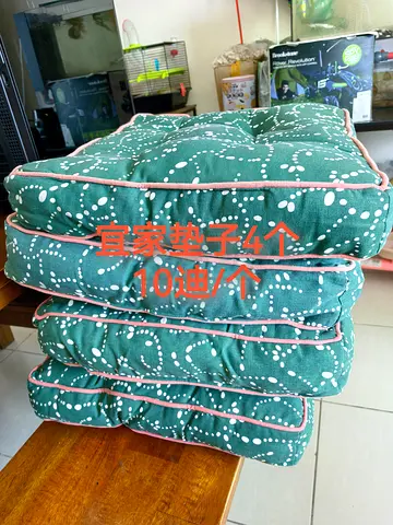 cushion