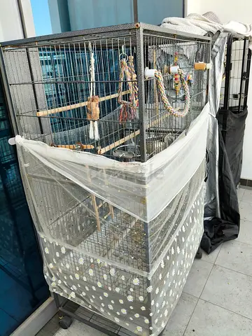 Large metal bird cage with stand and accessories - good condition