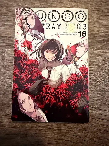 Bungo Stray Dogs 16 - Manga