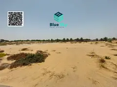 Commercial Plot For Sale | G+50 | Al Alia, Ajman | Off Highway 311